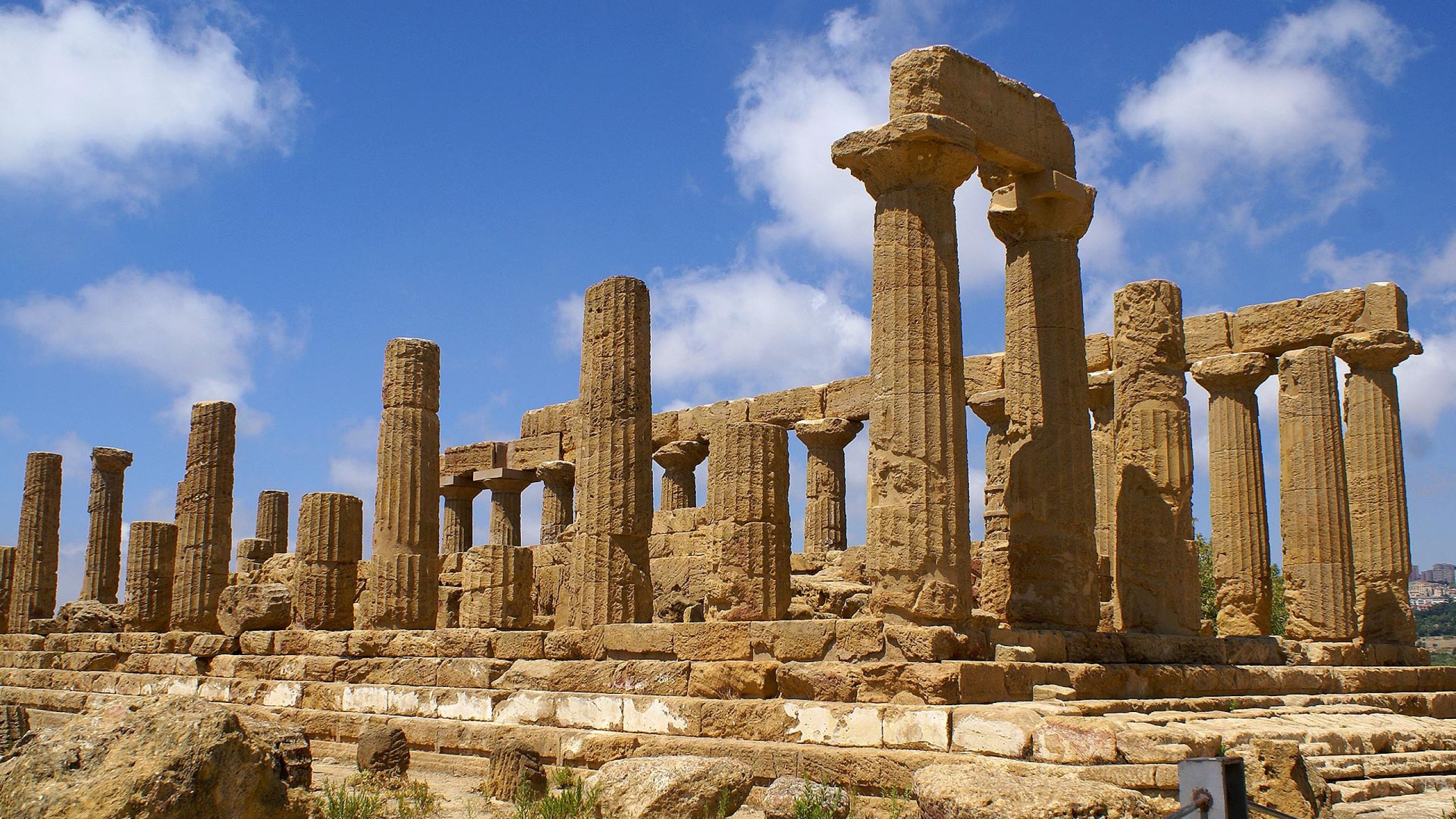 Noleggio bus per viaggi organizzati